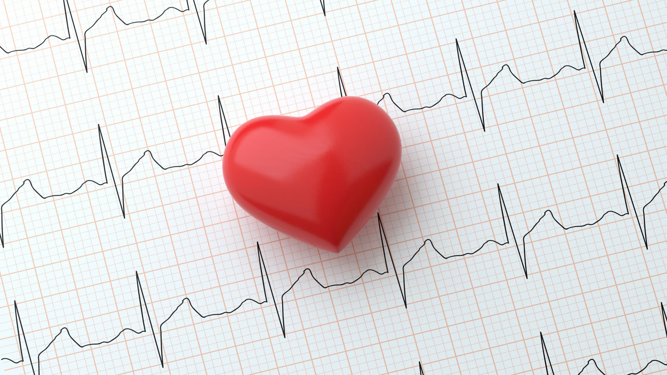 DR.VETTER EKG
